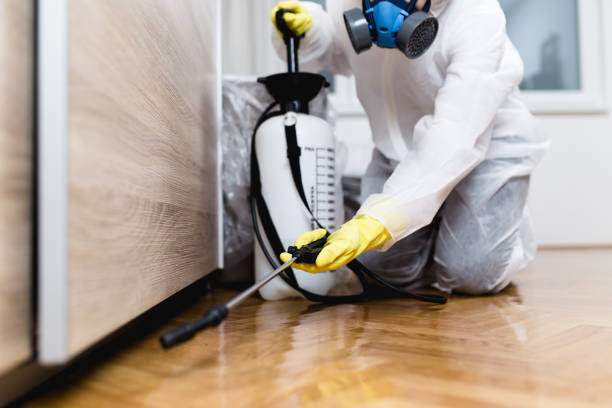 Best Pest Prevention Services  in Lutherville, MD