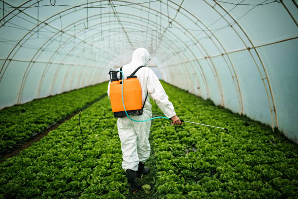 Best Best Pest Control Companies  in Lutherville, MD