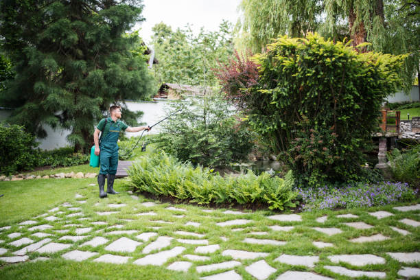 Best Cockroach Control Services  in Lutherville, MD