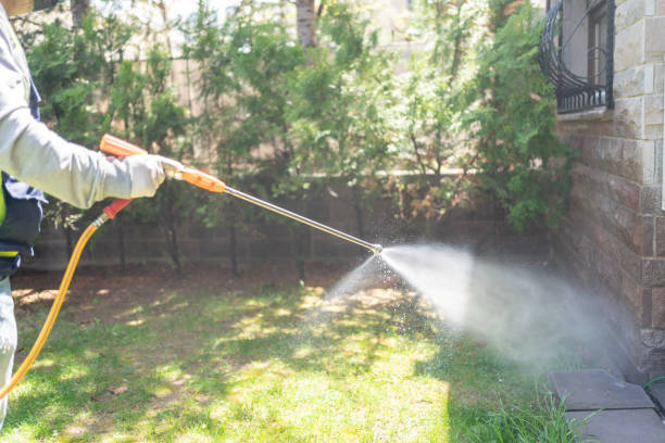 Best Rat Extermination Near Me  in Lutherville, MD