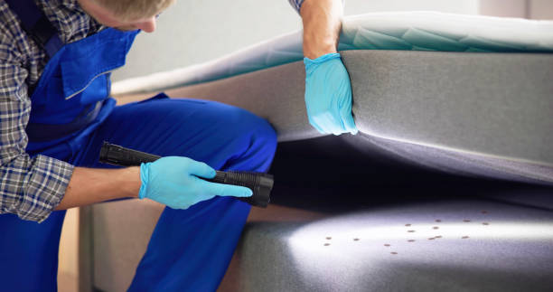 Best Pest Inspection Near Me  in Lutherville, MD