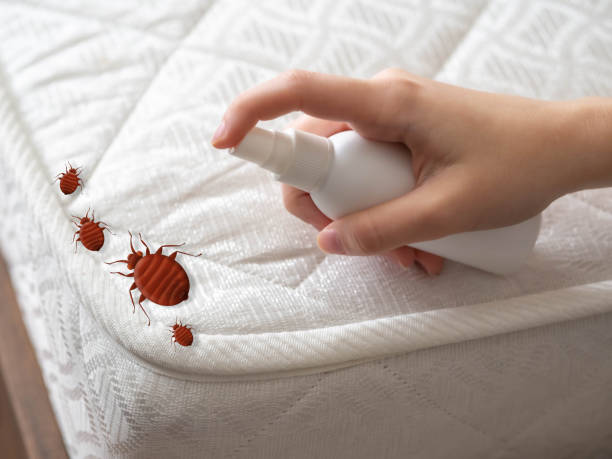 Best Affordable Pest Control Services  in Lutherville, MD