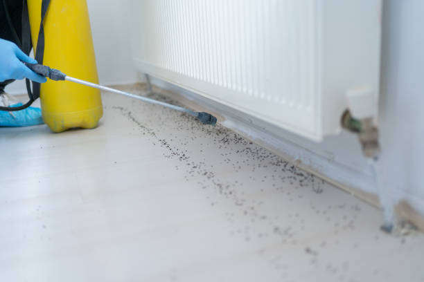 Best Mosquito Control Services  in Lutherville, MD