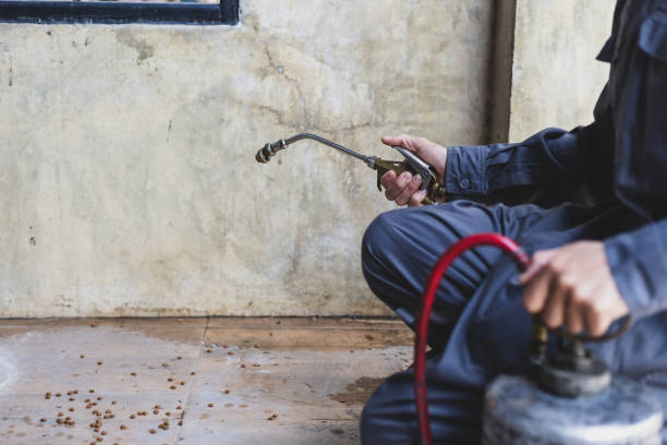 Best Best Pest Control Companies  in Lutherville, MD