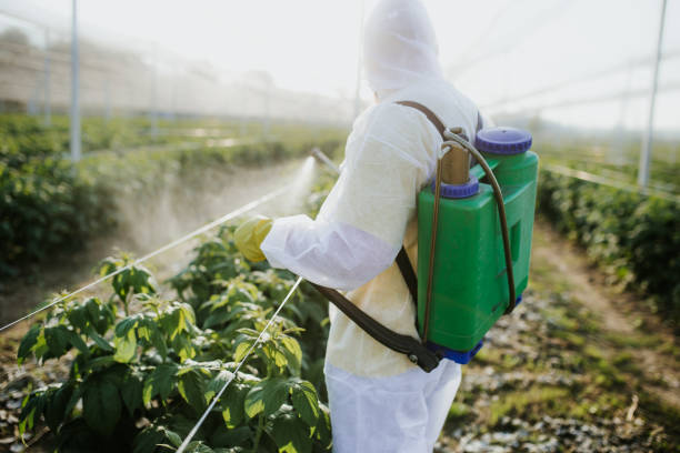 Best Exterminator Services  in Lutherville, MD